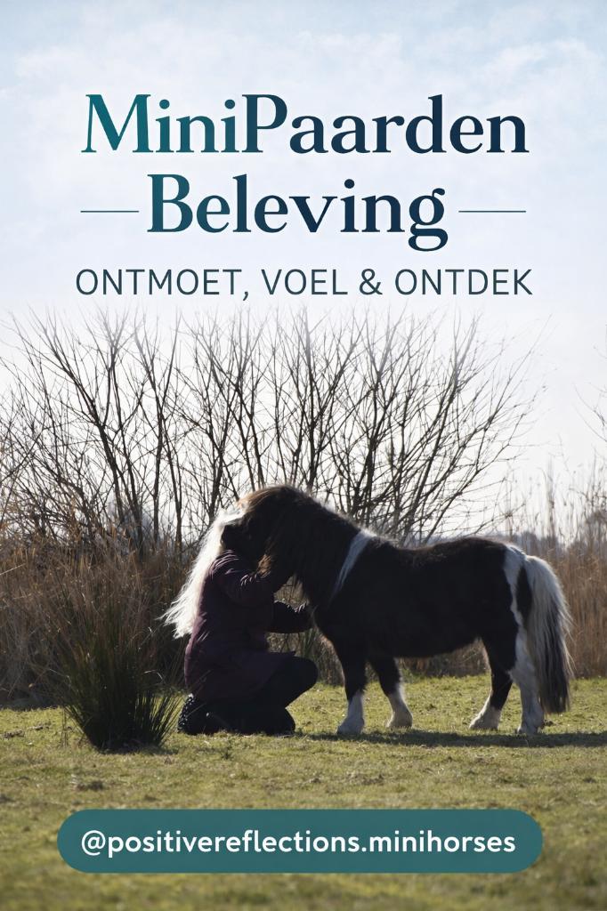 Mini paarden beleving, ontmoet, voel & ontdek, Dieren en Toebehoren, Paarden en Pony's | Overige Paardenspullen, Nieuw, Overige soorten