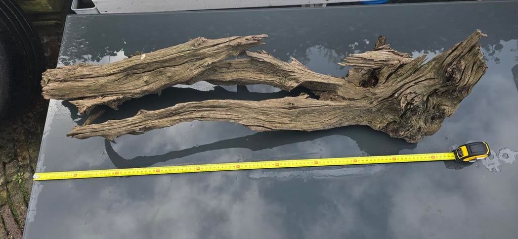 Decoratief drijfhout stuk, uniek en natuurlijk, Ophalen, Gebruikt