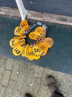 nummers schapen, Dieren en Toebehoren, Vrouwelijk, Schaap