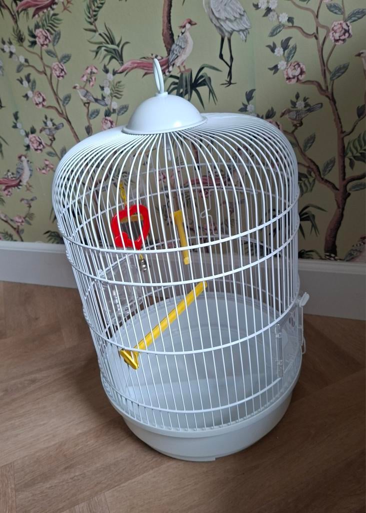 Aangeboden in nieuwstaat Ferplast vogelkooi, Dieren en Toebehoren, Vogels | Hokken en Kooien, Ophalen, Zo goed als nieuw, Metaal