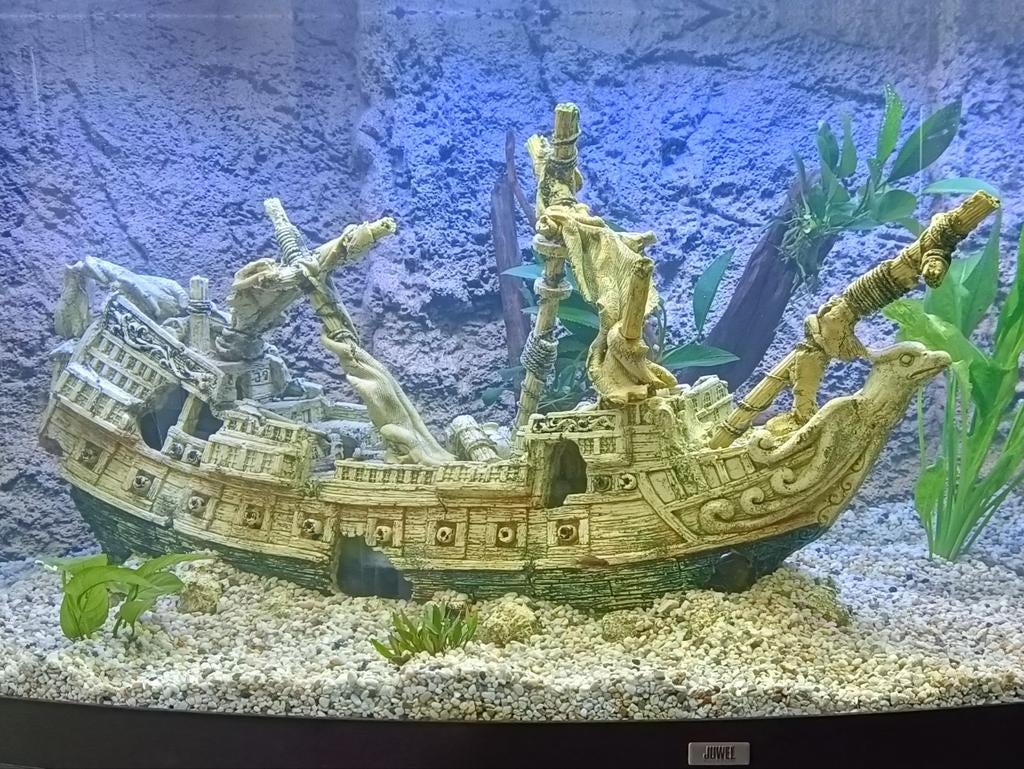 Aquarium decoratie, Ophalen, Gebruikt