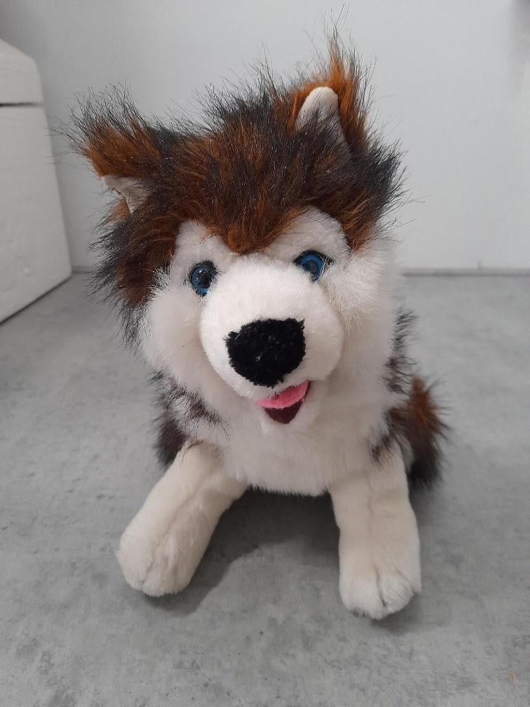 Speelgoed knuffel HOND HUSKY, Ophalen of Verzenden, Zo goed als nieuw, Hond, Wasbaar