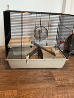Hamsterhok, Dieren en Toebehoren, Knaagdieren en Konijnen | Hokken en Kooien, Minder dan 60 cm, Gebruikt, Minder dan 75 cm, Ophalen of Verzenden