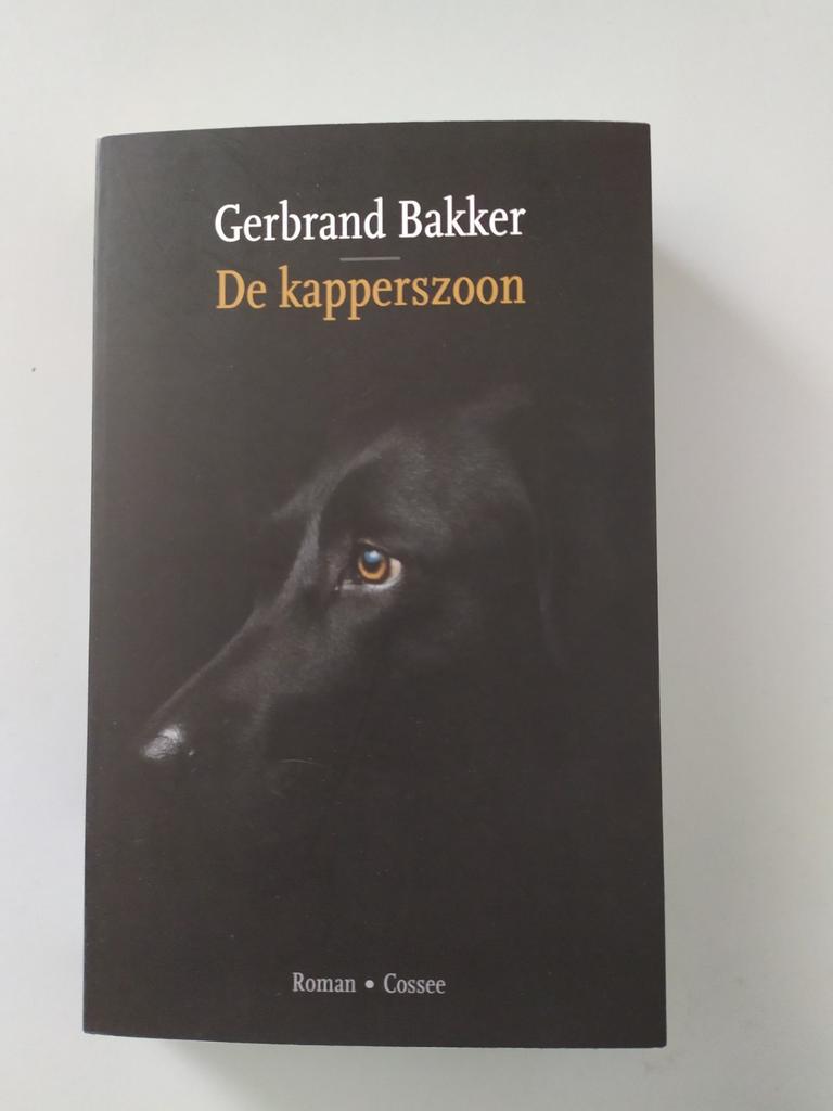Gerbrand Bakker, De kapperszoon, Boeken, Ophalen of Verzenden