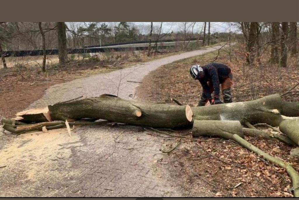 Bomen kap, Tuin en Terras, Haardhout, Minder dan 3 m³, Ophalen of Verzenden