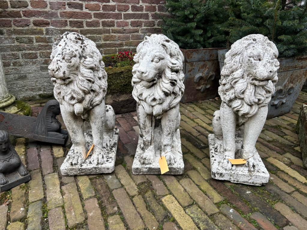 Tuinornamenten leeuwen  carlotte antiek en brocante, Tuin en Terras, Tuinbeelden, Ophalen, Dierenbeeld, Gebruikt, -