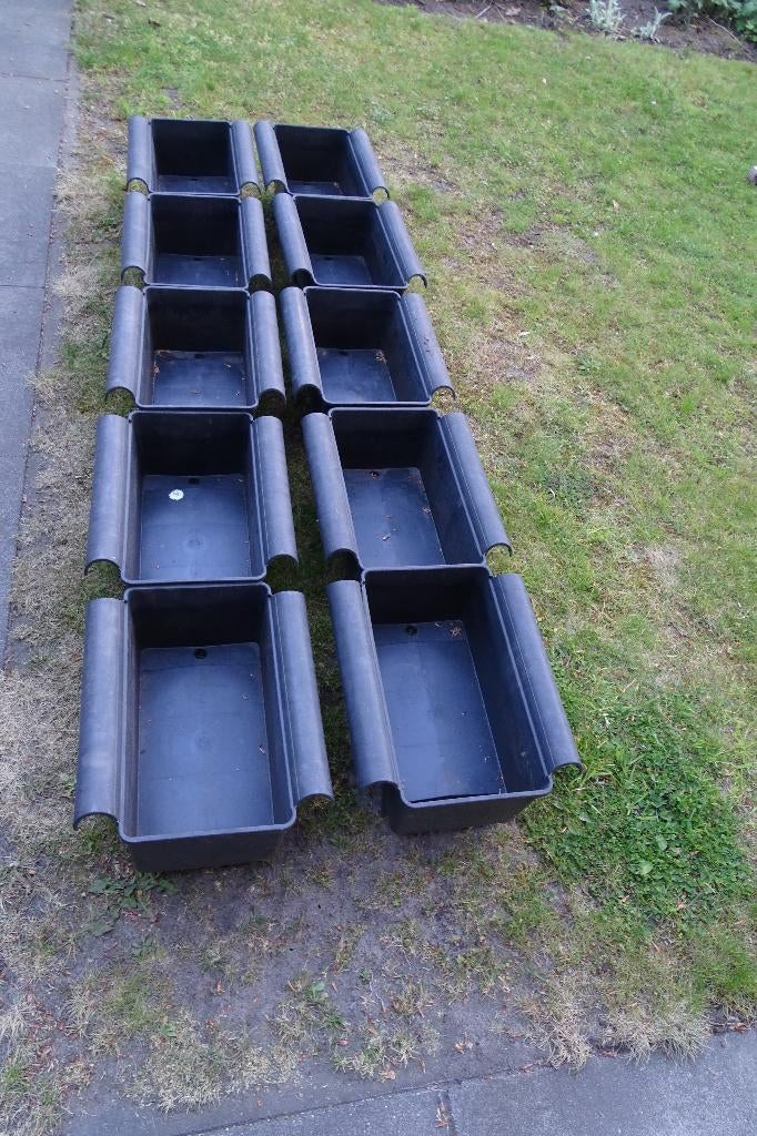 kweekbakken aardbeiplanten of andere planten, Ophalen of Verzenden, Overige soorten, Volle zon