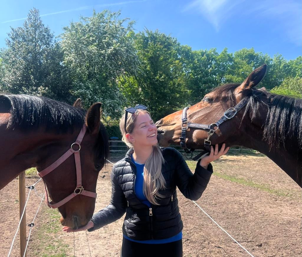 Huisdierenoppas/hondenoppas/paardenoppas aangeboden Breda, Dieren en Toebehoren, Paarden en Pony's | Overige Paardenspullen, Ophalen of Verzenden