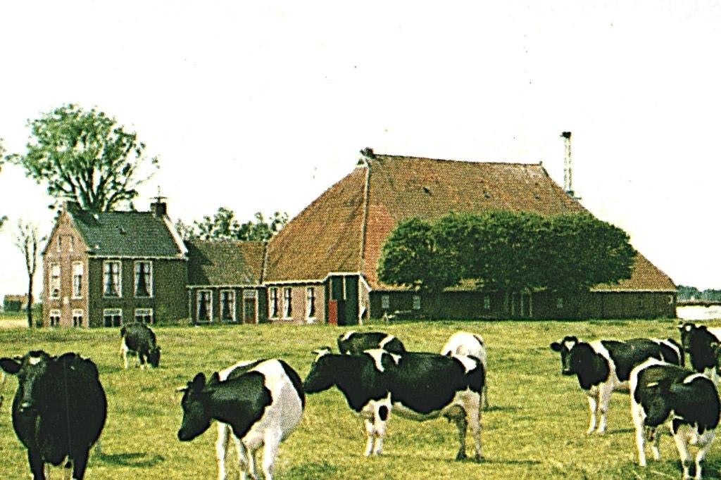 802292 Vrouwenpolder Zeeland 1975 Warga Camping Oranjezon, Verzamelen, Ansichtkaarten | Nederland, Ophalen of Verzenden, 1960 tot 1980