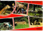 Ansichtkaart	Emmen	Noorder Dierenpark	6-luik, Verzenden, 1980 tot heden, Gelopen, Drenthe