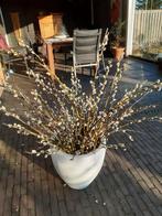 Bloempot groot met katjes en berkentakken, Ophalen of Verzenden