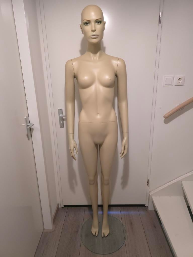 Paspop T220, etalagepop torso vrouwelijk, schuim
