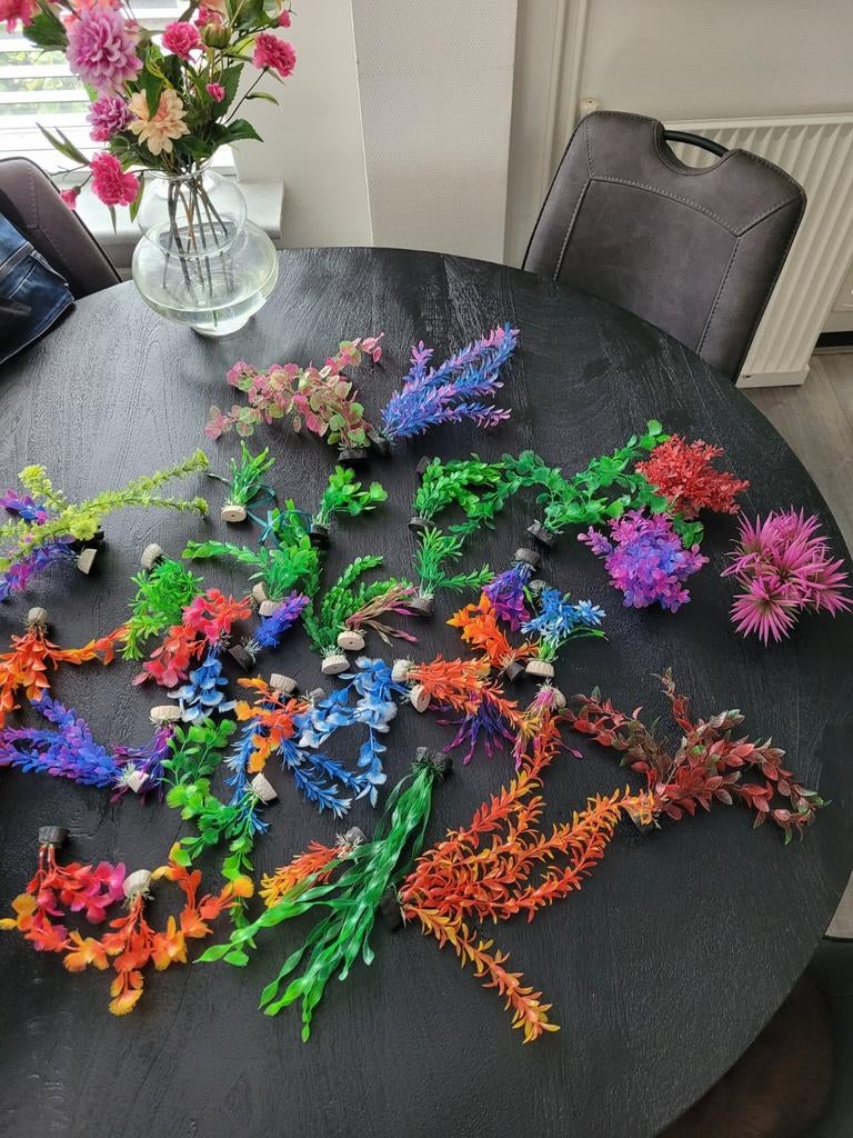 Aquarium planten nep/kunst, Dieren en Toebehoren, Ophalen, Plant(en), Steen of Hout