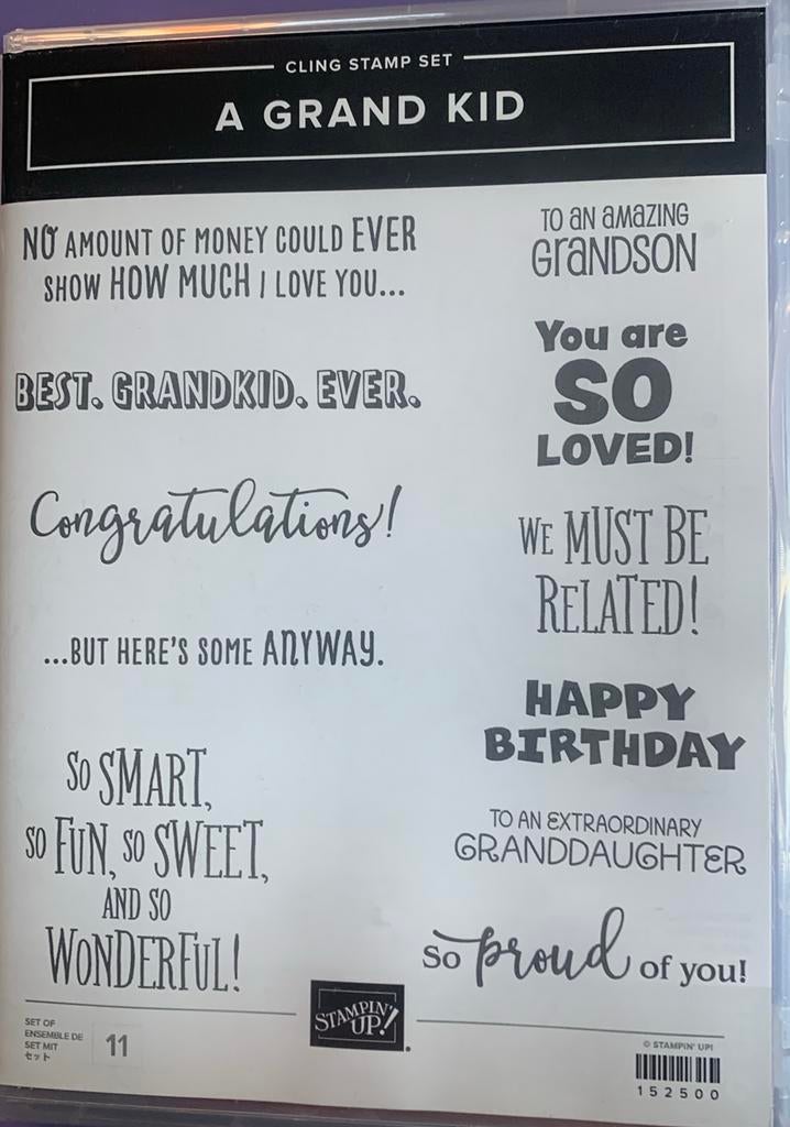 A Grand Kid Stempelset Stampin Up NIEUW, Ophalen of Verzenden, Nieuw, Overige thema's, Overige typen