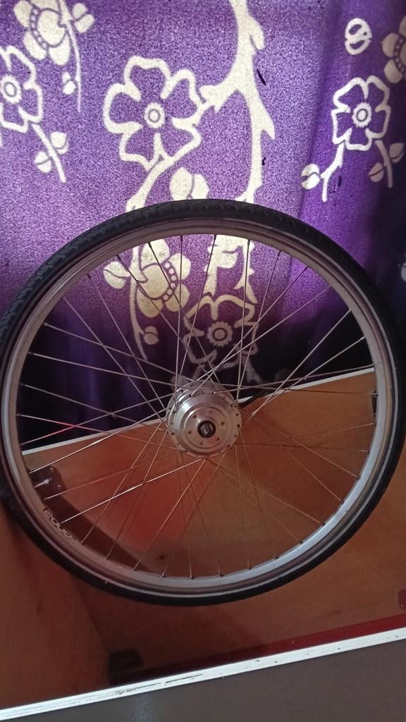Bikkel voorwielmotor ( versleten ), Ophalen, Gebruikt, Achterlicht