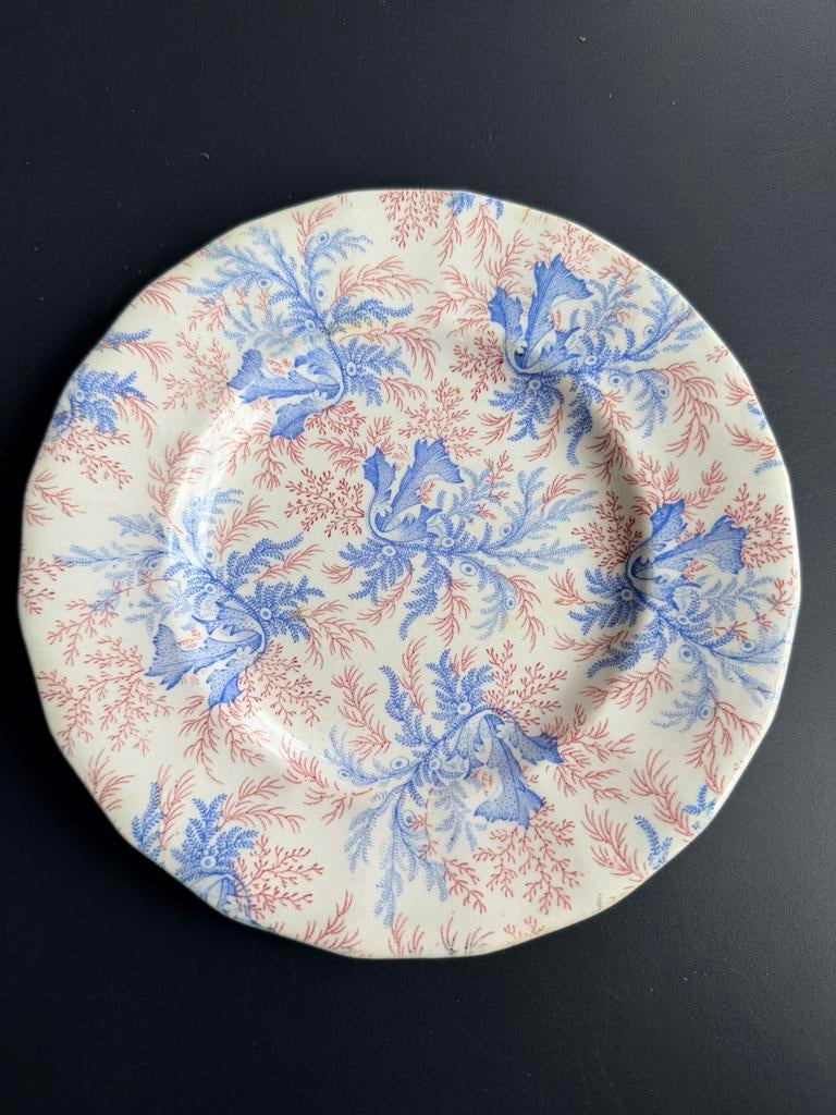 Antiek Wedgewood bord, Ophalen of Verzenden, Zo goed als nieuw, Bord