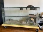 Schildpad aquarium/terrarium 120x50x60, Ophalen, Zo goed als nieuw