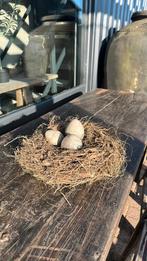 Nest van takke., Ophalen of Verzenden