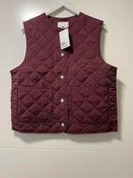 Bordeauxrode bodywarmer van H&M. Maat M., Kleding | Dames, Ophalen of Verzenden, Nieuw, Maat 38/40 (M), Rood