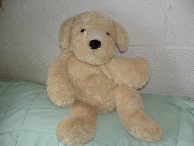 FUTURE TOYS HOND GROOT ZACHTE LANGHARIGE GLANZEND, Ophalen of Verzenden, Nieuw, Overige typen