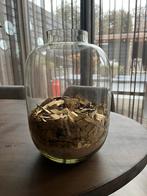 Mooie vaas, Huis en Inrichting, Overige kleuren, Ophalen of Verzenden, Minder dan 50 cm, Glas