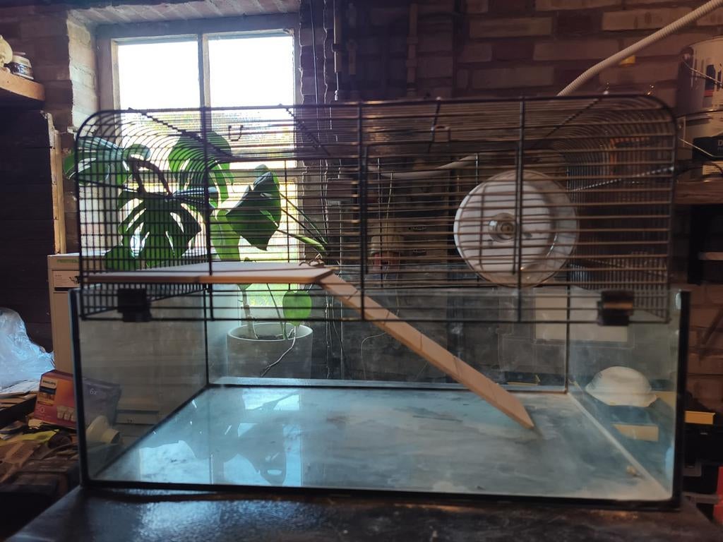 Hamsterkooi 2 verdiepingen, Dieren en Toebehoren, Kooi, Minder dan 75 cm, Zo goed als nieuw, Ophalen