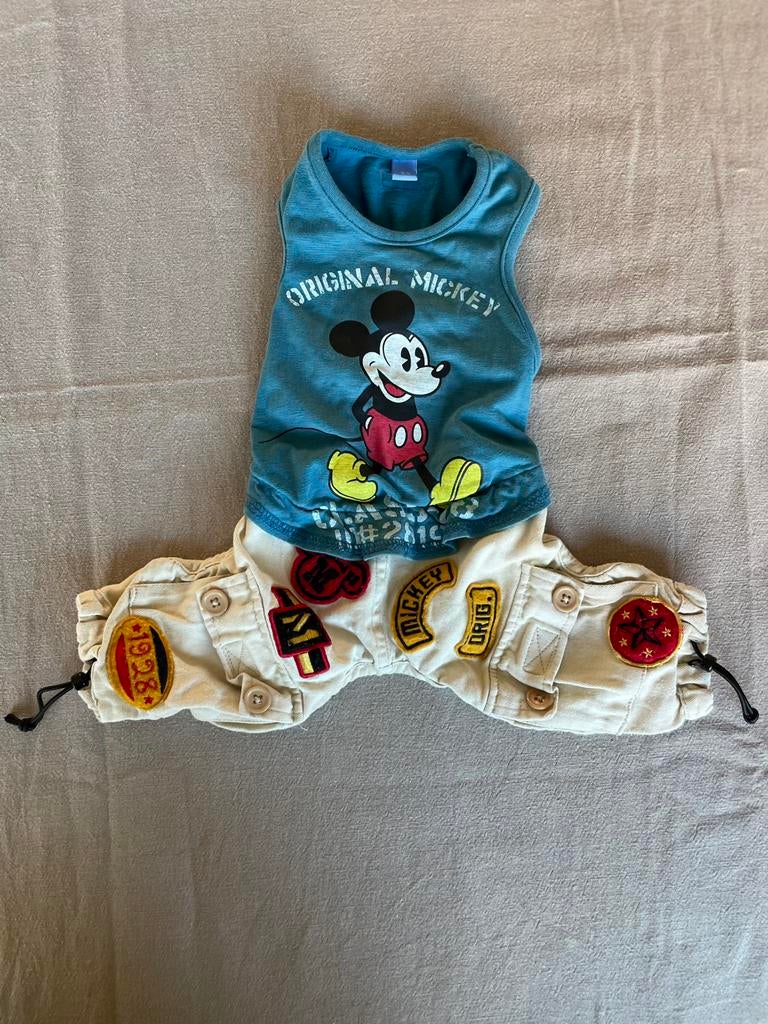 Hondenpakje hondenkleding mt 14, Ophalen of Verzenden, Zo goed als nieuw, Hondenjas