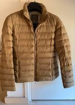GEOX gewatteerd donsjack zandkleur maat 34/36, Ophalen of Verzenden, Zo goed als nieuw, Maat 36 (S), Beige