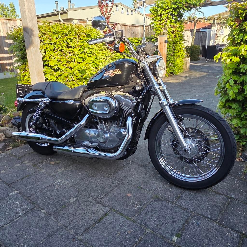 2 x Harley Davidson Sportster 883., Motoren, Motoren | Harley-Davidson, Particulier, Chopper