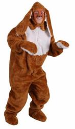 Paashaas pak XL, Ophalen of Verzenden, Gebruikt, 170 of groter, Jongen of Meisje