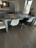 Betonnen tafel met stoelen - Industriële look, Huis en Inrichting, Tafels | Eettafels, Ophalen, Overige materialen, 200 cm of meer