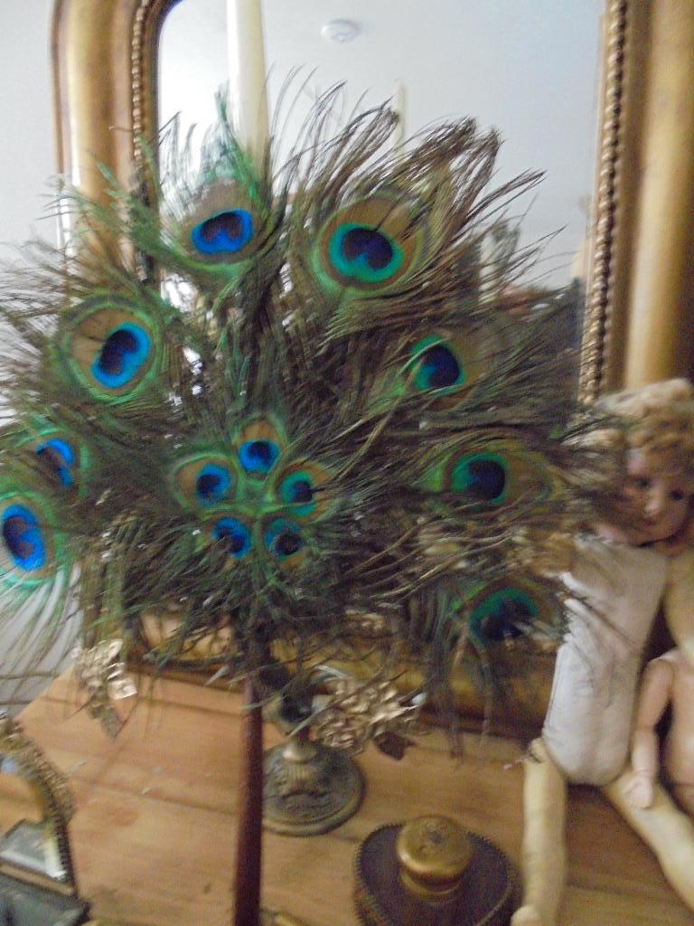 face screen, waaier, victoriaanse, pauwenveren, Antiek en Kunst, Ophalen of Verzenden