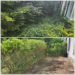 Betrouwbare tuinman | Tuinonderhoud en snoeiwerk Den Haag, Diensten en Vakmensen, Tuinmannen en Stratenmakers, Garantie, Tuinontwerp