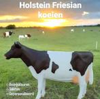 Kunststof dieren, Holstein Friesian koe beeld, koeien, rund, Ophalen, Nieuw, Kunststof, Dierenbeeld