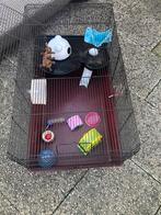 Grote cavia kooi, Dieren en Toebehoren, Kooi, Minder dan 75 cm, Cavia, Ophalen