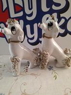 2 poedels, Ophalen of Verzenden