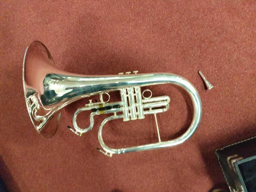 Marching Hoorn F Manchester Brass BE130 Verzilverd, Muziek en Instrumenten, Blaasinstrumenten | Overige, -, -, Nieuw, Ophalen of Verzenden