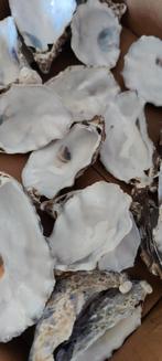30x schoongemaakte oesterschelpen, Verzenden