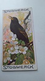 plaatje van stolwerc 's    suikerwerken, Verzamelen, Ophalen of Verzenden