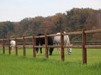 22. Omheining | houten omheining | doorsteek omheining, Dieren en Toebehoren, Weidegang, 4 paarden of pony's of meer