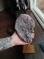 Grote lichtpaarse sugar druzy amethist, Verzamelen, Mineralen en Fossielen, Ophalen of Verzenden