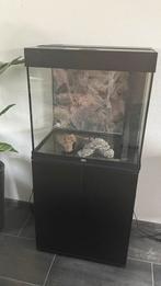 Juwel Aquarium zwart Lido 120 Led inclusief kast, Ophalen, Gebruikt, Leeg aquarium, Juwel