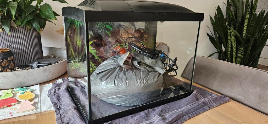Superfish start 50 Aqaurium, Ophalen, Inclusief toebehoren, Leeg aquarium, Superfish