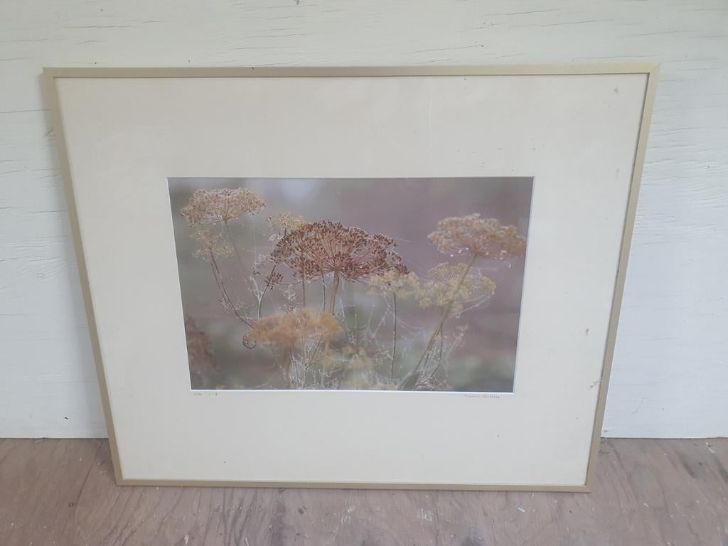 Foto Dille Gonnie Goossens in mooie lijst, Ophalen