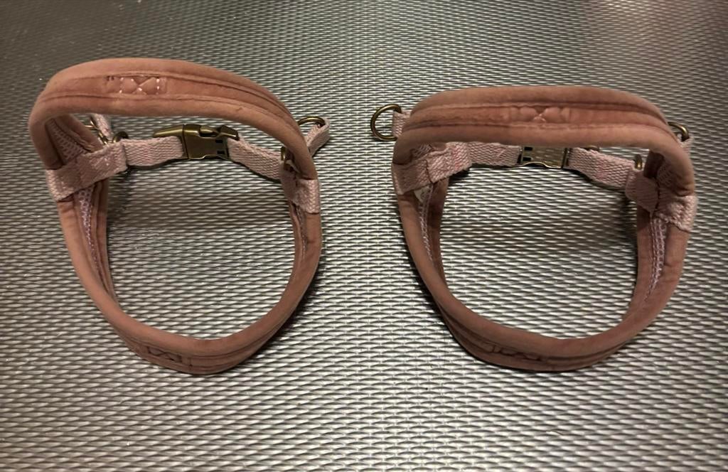 Honde hals bandje  Mt: xxs, Ophalen of Verzenden