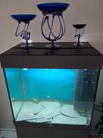 Aquarium plus Glas geblazen set Geheel compleet.!!!, Ophalen of Verzenden, Zo goed als nieuw, Gevuld zoetwateraquarium