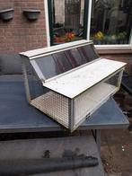 Spoetnik duivensport, Dieren en Toebehoren, Mannelijk