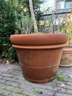 XL Doppio Bordo Liscio terracotta pot inclusief olijfboom, Ophalen, Gebruikt, 40 cm of meer, Rond