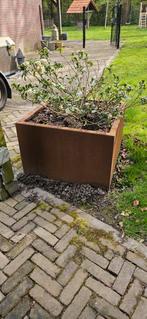 Cortenstaal plantenbak - Vierkant, robuust en duurzaam, Gebruikt, Vierkant, Ophalen of Verzenden, Metaal