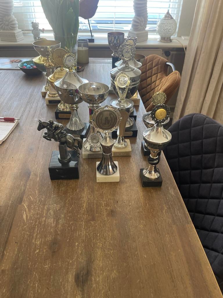 15 mooie concours bekers, Ophalen, Gebruikt